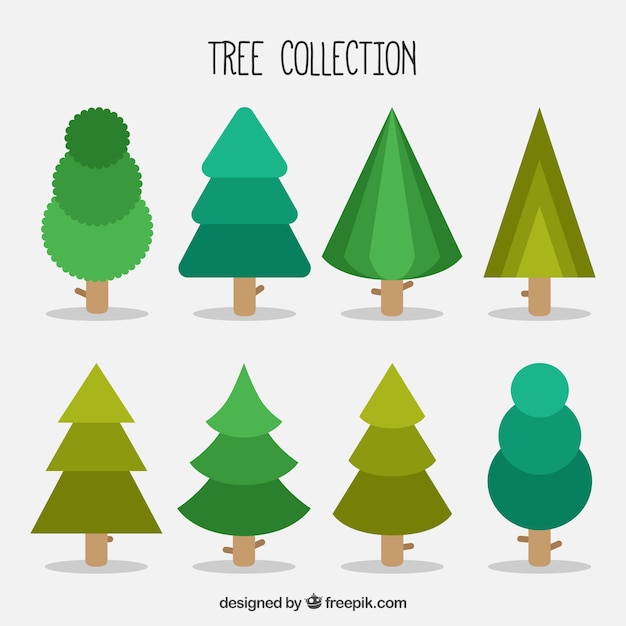 Pack of different trees and pines in flat design | Premium Vector