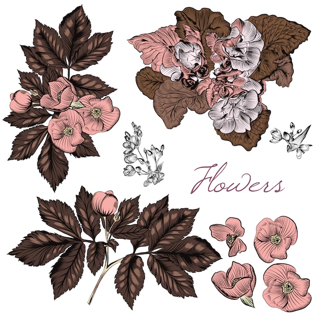 Download Premium Vector | Pack of hand-drawn flowers