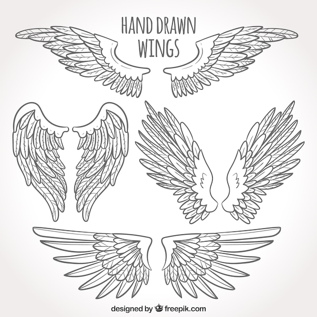 Pack of hand drawn wings Free Vector