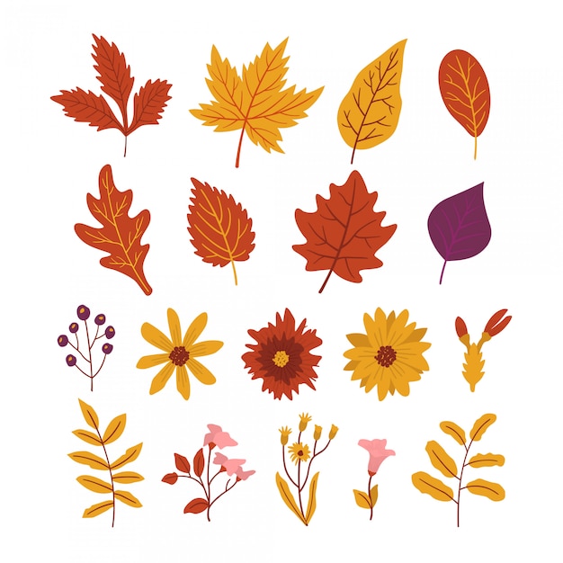 Pack of leaves and beautiful autumn flowers Vector | Premium Download