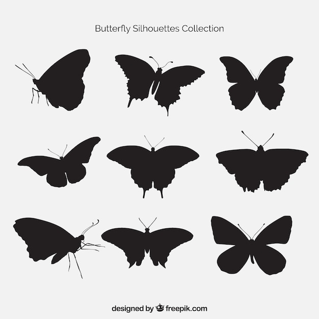 Download Pack of butterflies silhouettes Vector | Free Download