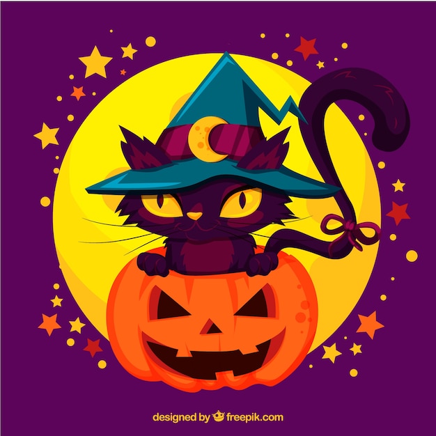 Pack of cat with witch hat and pumpkin