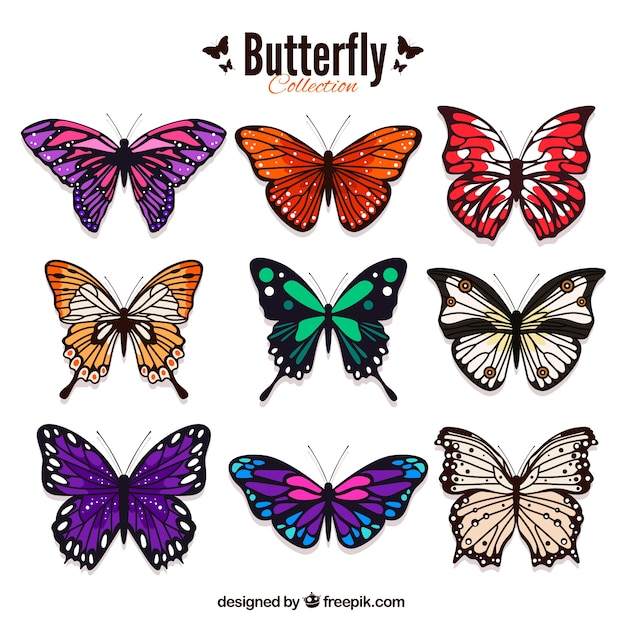 butterfly clipart photoshop - photo #37