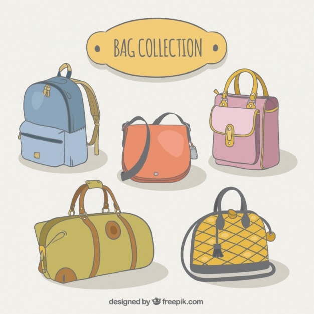 Pack of different types of bags Vector | Free Download