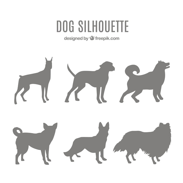 Pack of dog silhouettes