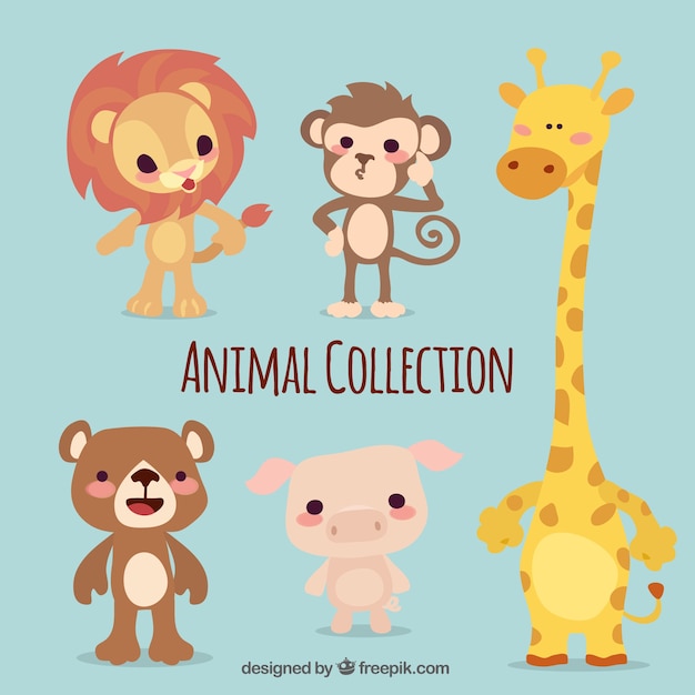 Pack of five cute animals