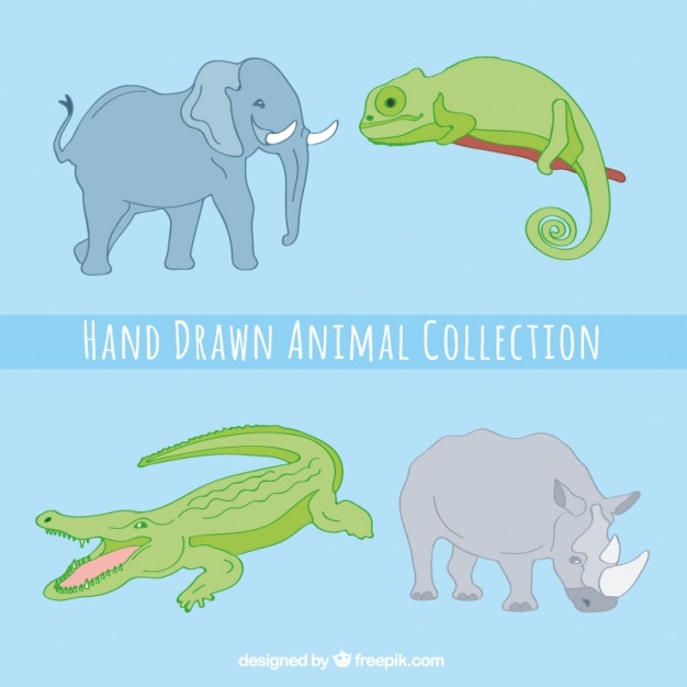 Pack of great hand-drawn animals