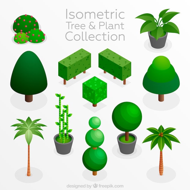 Pack of plants and trees in isometric design Vector | Free Download