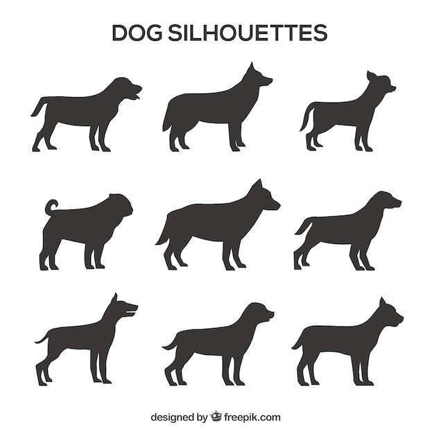 Pack of profile dog silhouettes