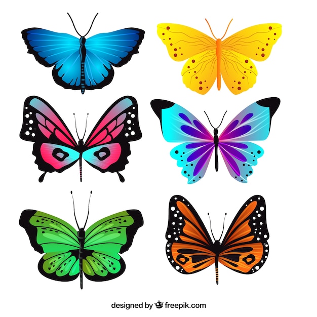 Pack of realistic butterflies with different
colors