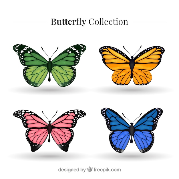 Pack of realistic colored butterflies