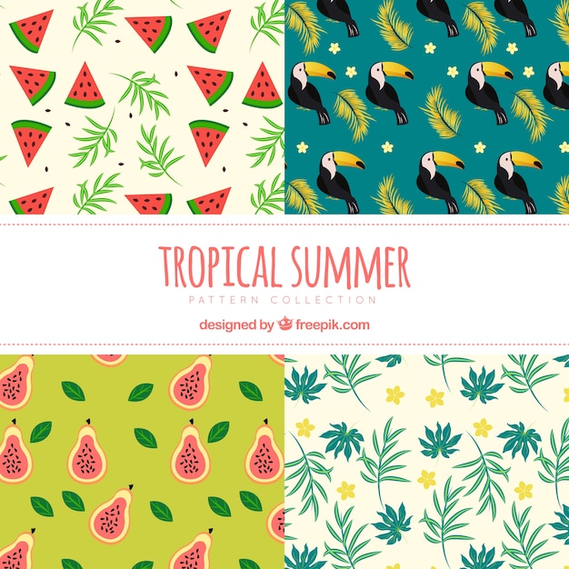 Pack of summer patterns with fruits and\
toucan