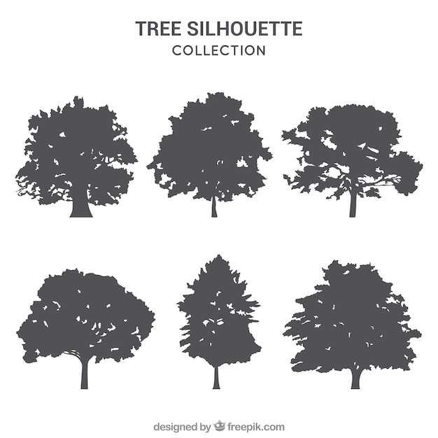 Download Pack of trees with silhouette Vector | Free Download