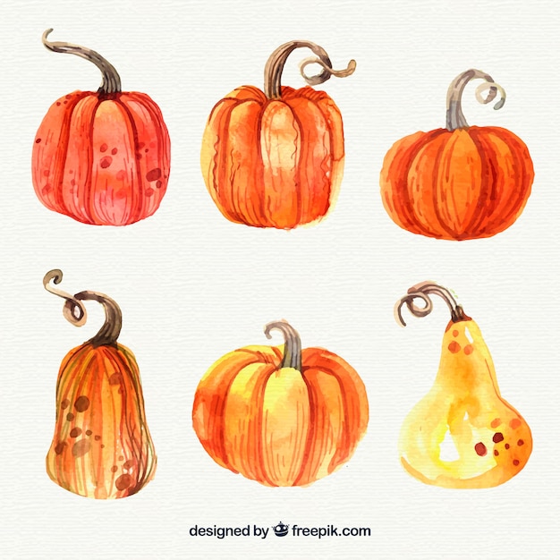 Download Pack of watercolor pumpkins Vector | Free Download