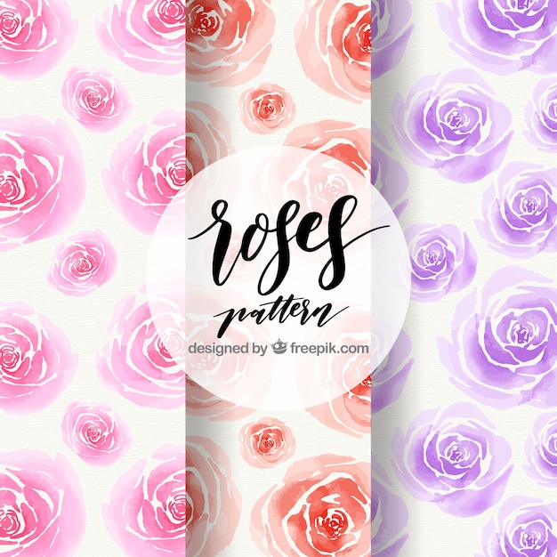 Pack of watercolor roses patterns