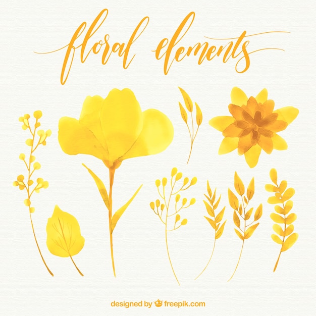 Pack of yellow watercolor flowers