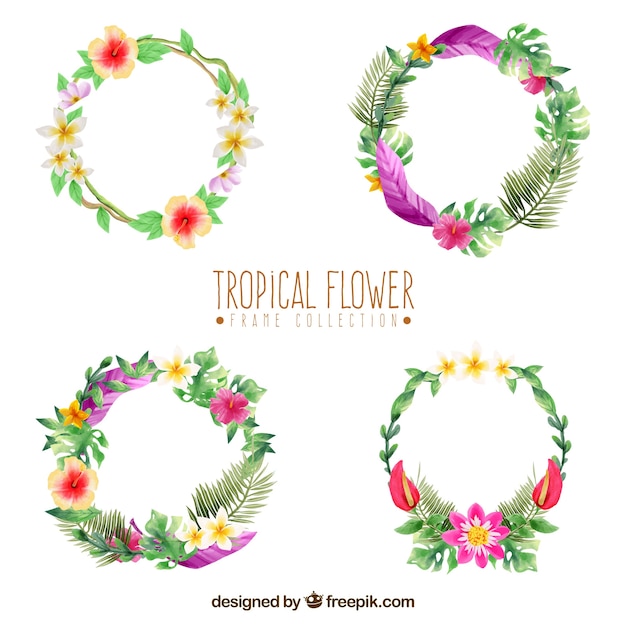 Free Vector | Pack of ornamental floral wreaths