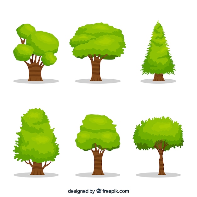 Free Vector | Pack of trees in 2d style