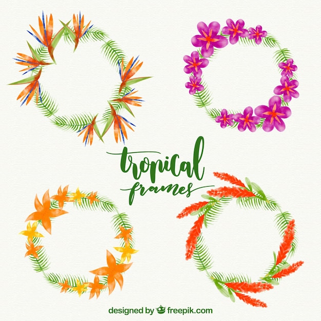 Download Free Vector | Pack of watercolor floral wreaths