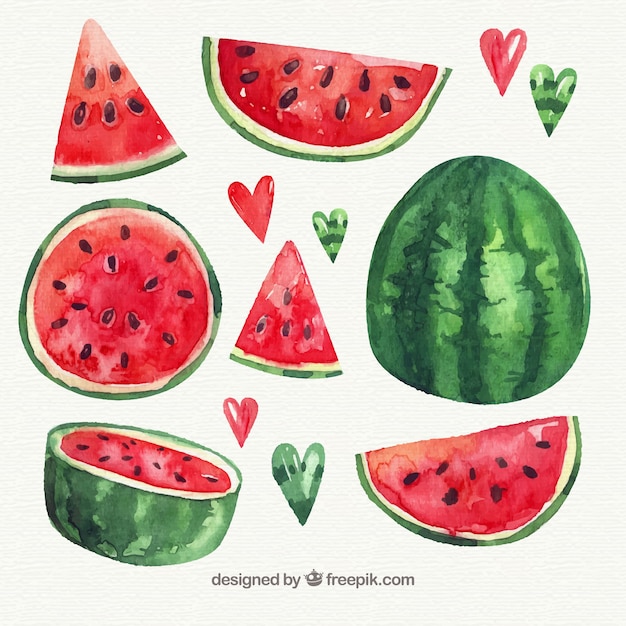 Download Watermelon Vectors, Photos and PSD files | Free Download