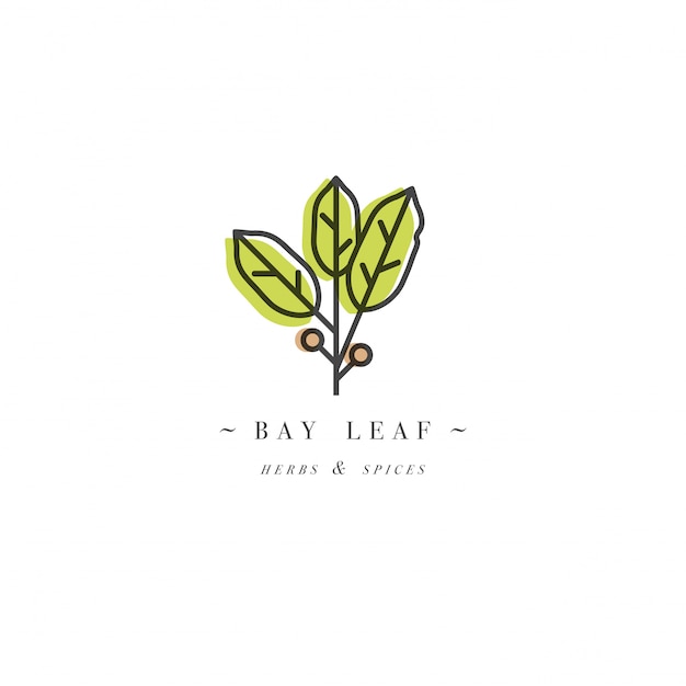 Download Free Packaging Design Template Logo And Emblem Herb And Spice Bay Use our free logo maker to create a logo and build your brand. Put your logo on business cards, promotional products, or your website for brand visibility.