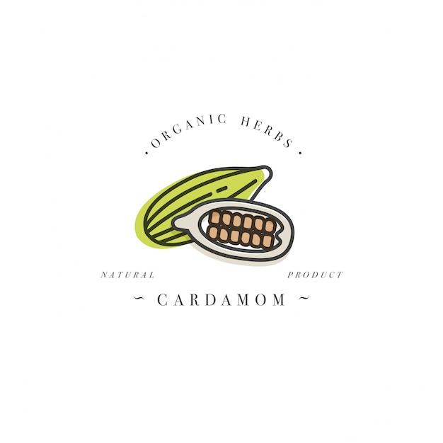 Download Premium Vector Packaging Design Template Logo And Emblem Herb And Spice Cardamom Logo In Trendy Linear Style