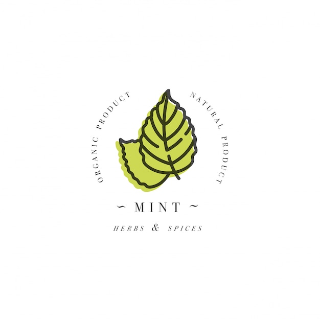 Download Free Packaging Design Template Logo And Emblem Herb And Spice Mint Use our free logo maker to create a logo and build your brand. Put your logo on business cards, promotional products, or your website for brand visibility.