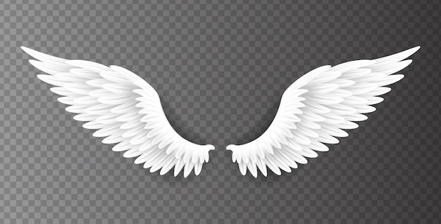 Premium Vector Pair Of Beautiful White Angel Wings Isolated On Transparent Background 3d Realistic Illustration Spirituality And Freedom