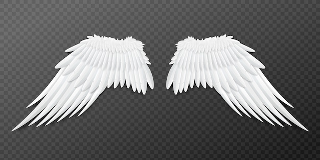 Download Premium Vector | Paired angel or bird wings template