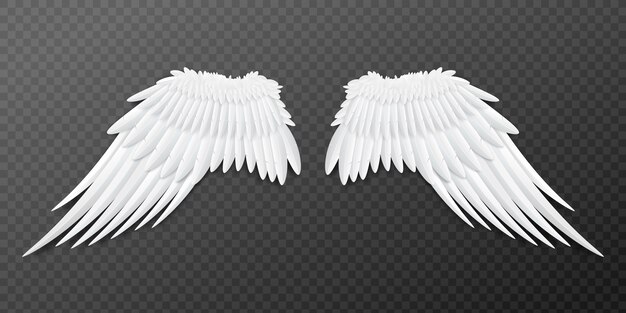 Premium Vector | Paired angel or bird wings template