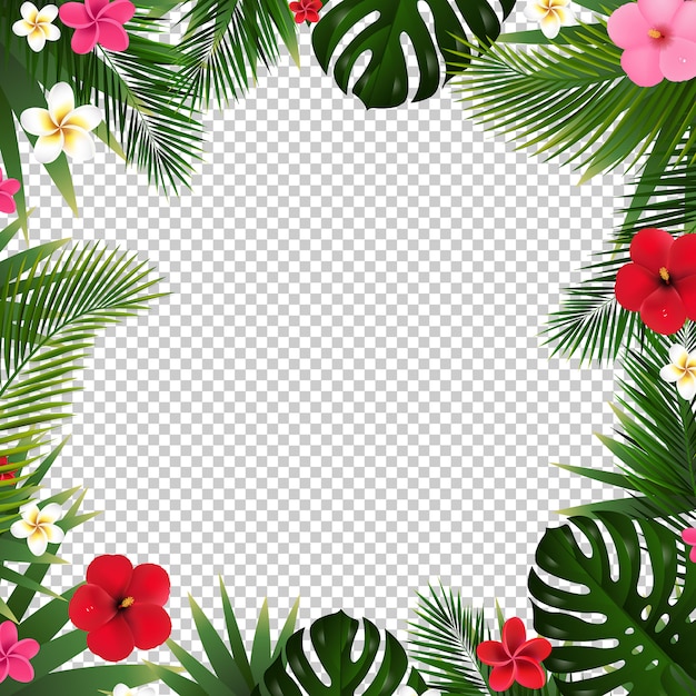 Premium Vector Palm Leaf And Flowers Transparent Background