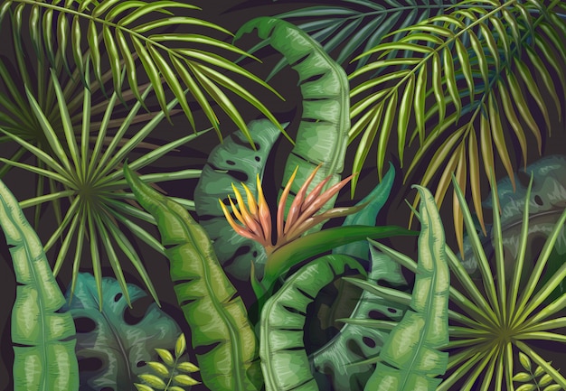 シュロの葉の背景 熱帯の夏のジャングル エキゾチックな植物のチラシ 緑のエキゾチックな森のポスター ビンテージの新鮮なジャングルの壁紙 プレミアムベクター