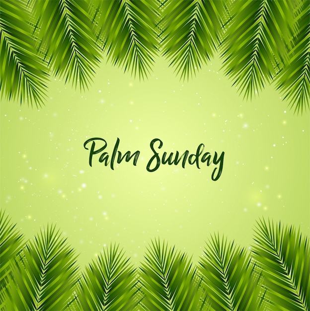 Premium Vector Palm Sunday Background