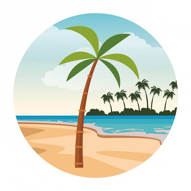 Premium Vector | Palm tree cartoon