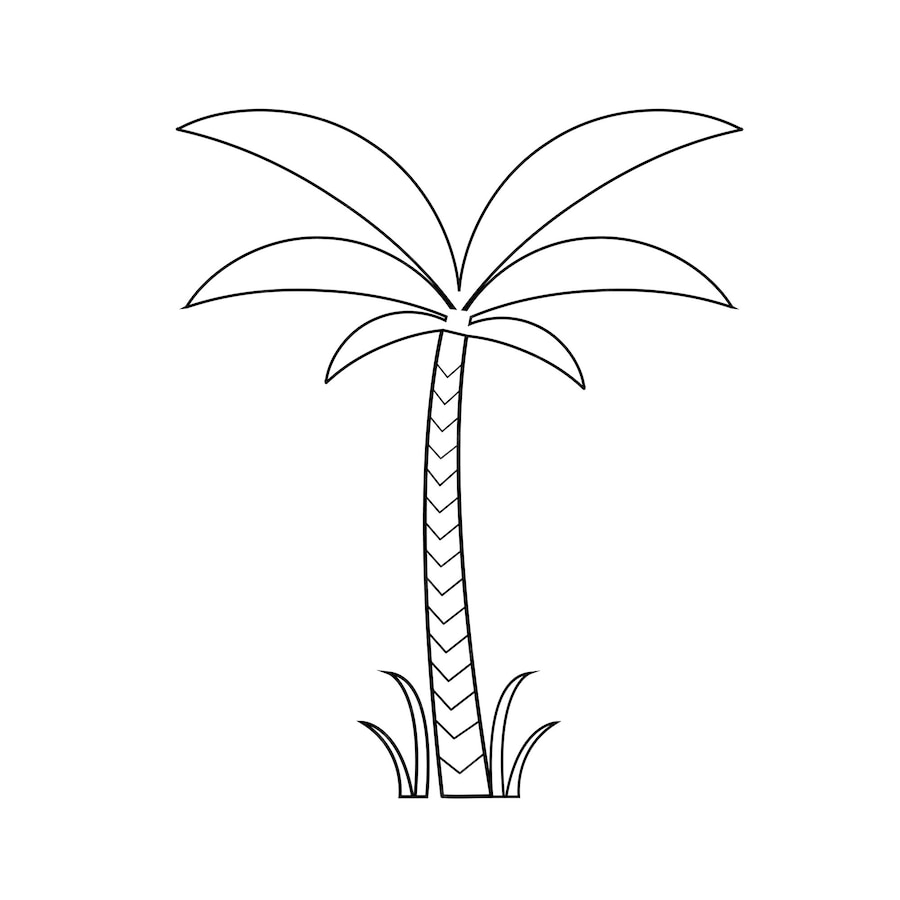 Premium Vector | Palm tree outline