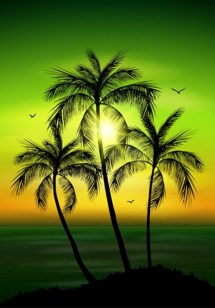 Download Palm tree silhouette. palm tree leaves on summer ...