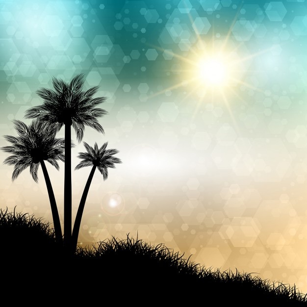 Palm Tree Silhouettes background