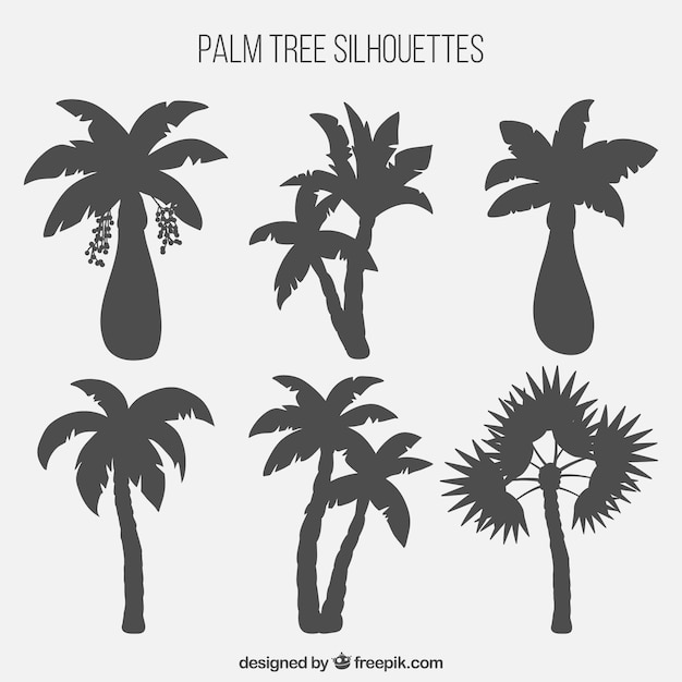 Download Palm tree silhouettes collection Vector | Free Download