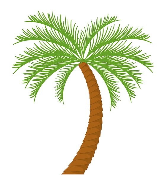 Premium Vector | Palm tree tropical nature summer beach plant icon