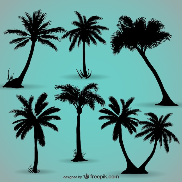 Download Free Vector | Palm trees black silhouettes