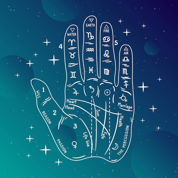 Free Vector | Palmistry concept