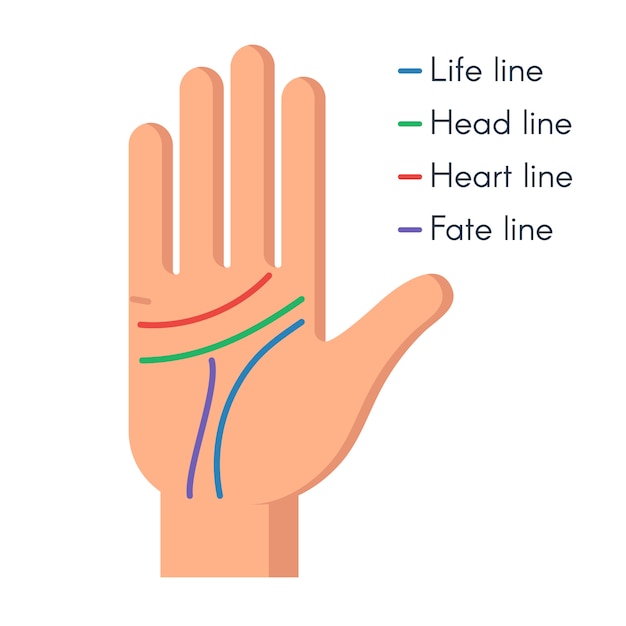 Premium Vector | Palmistry human hand