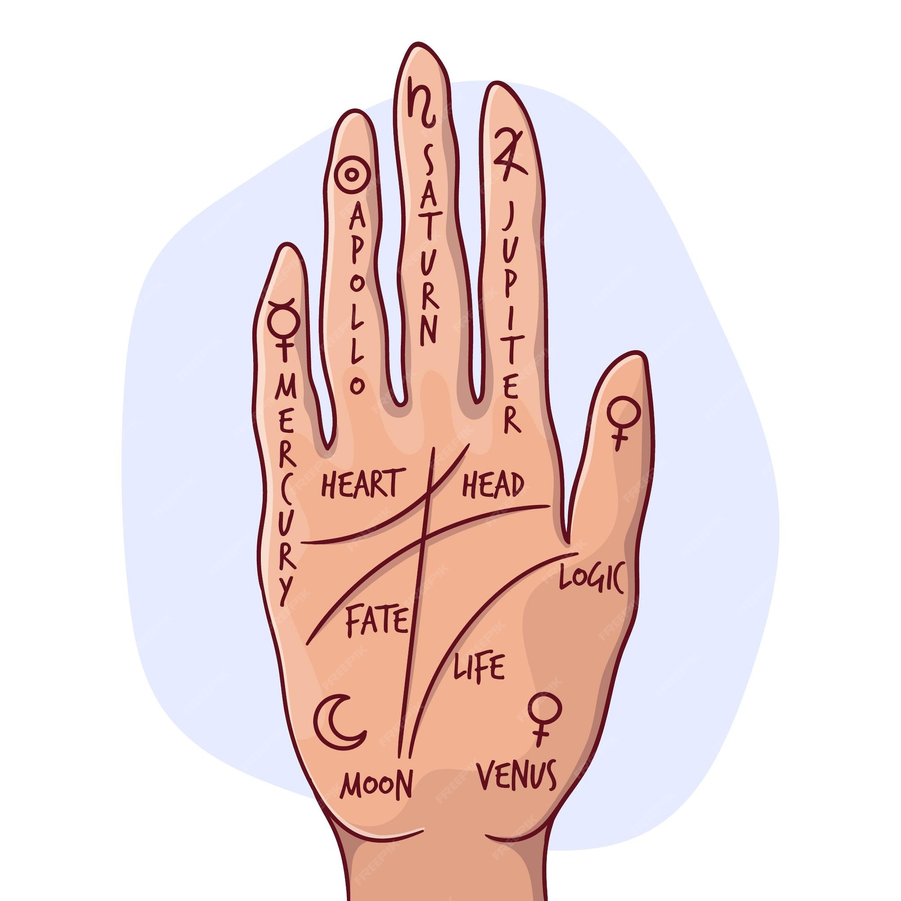 Free Vector | Palmistry with hand