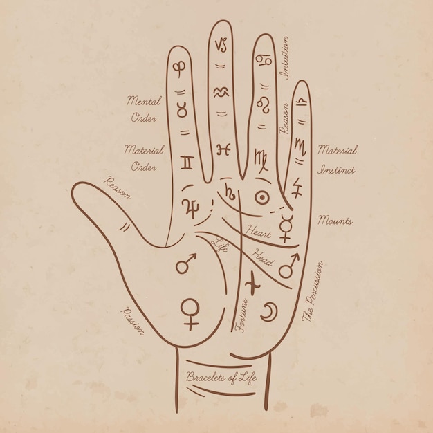difference between palmistry and astrology