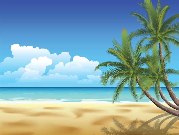 Premium Vector | Palms on empty idyllic tropical sand beach. image ...