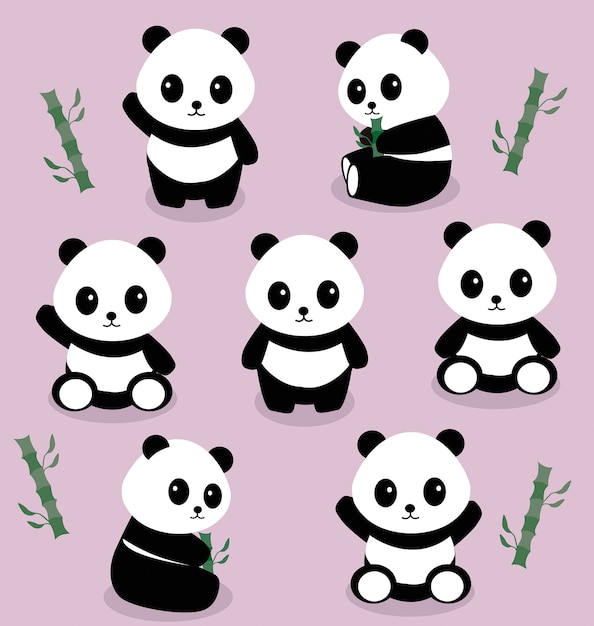 Pandas Premium Vector 