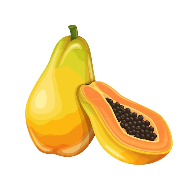 Premium Vector | Papaya fruit in cartoon style.