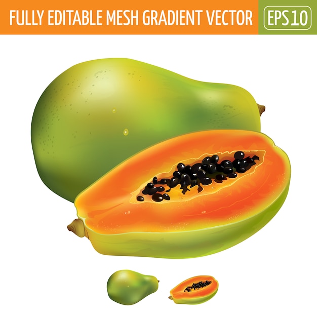 Papaya Illustration On White Vector Premium Download