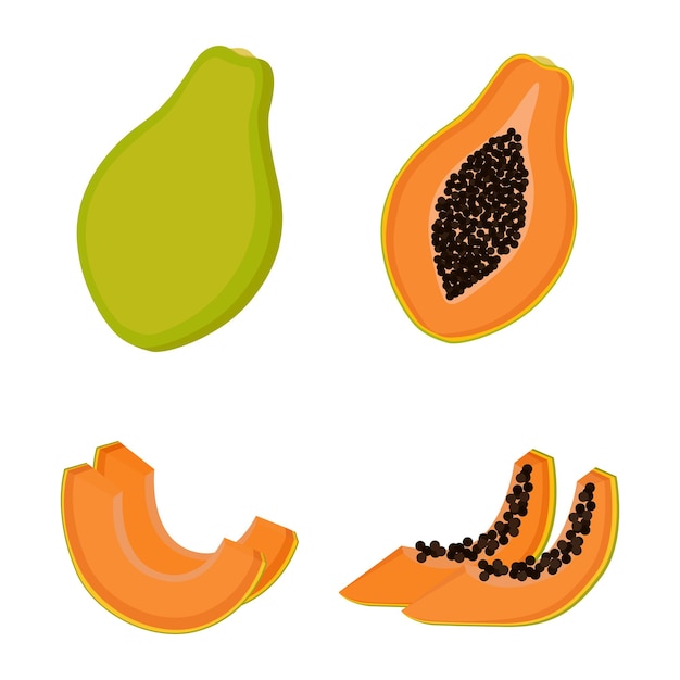 Premium Vector Papaya Whole Fruit Half And Slices Vector Illustration