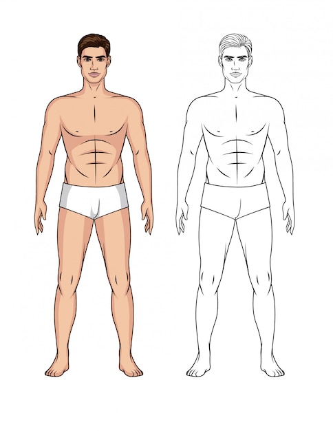 male paper doll